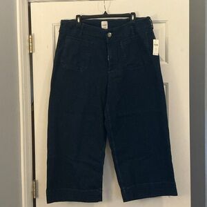 Anthropologie Maeve The Colette Crop Wide-Leg Jeans Women’s size 16W NWT